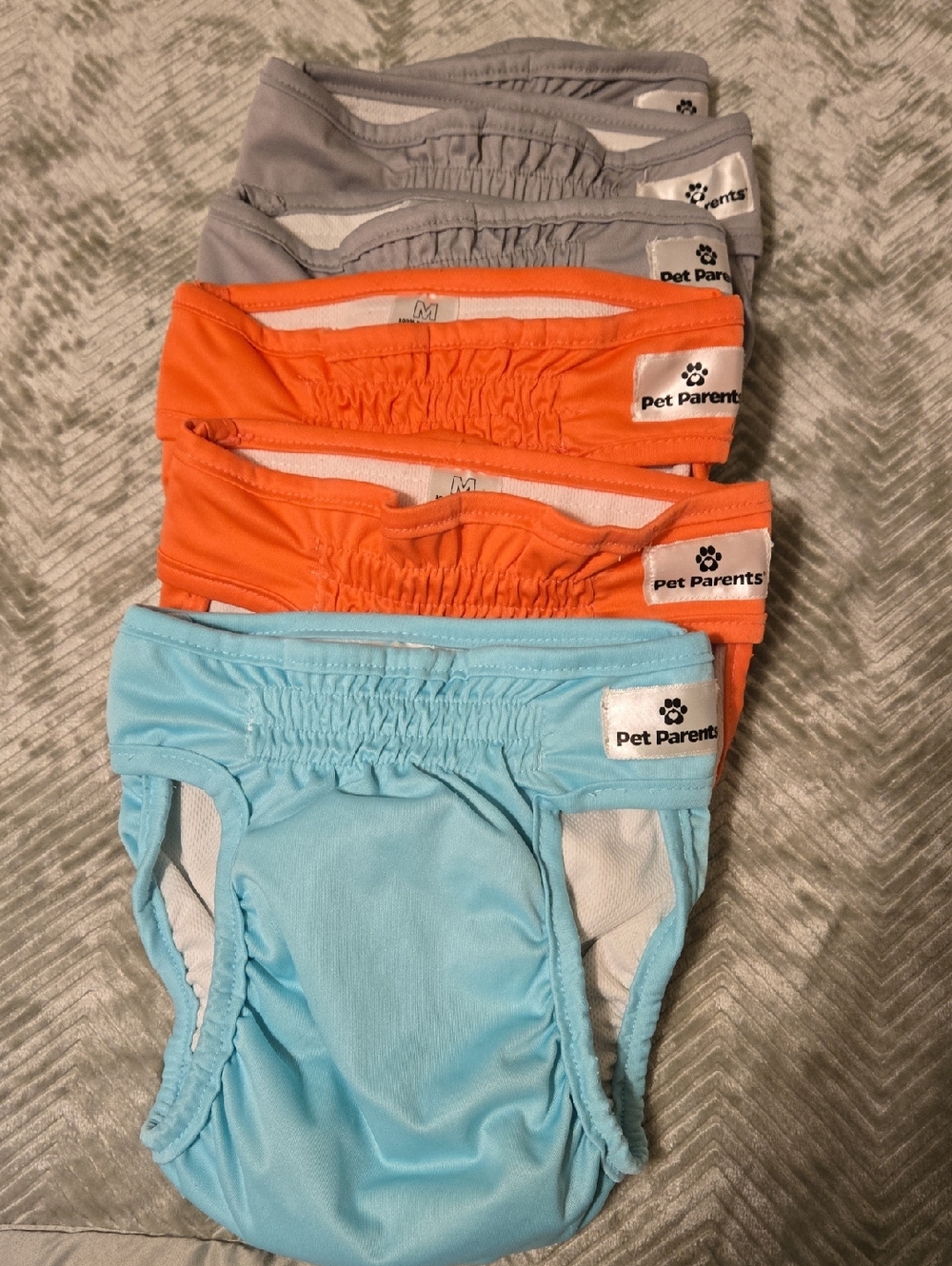 Dog Training Pants Pack - Blue, Orange, Gray Set Of 6